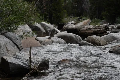 DSC_4386 (Large).JPG